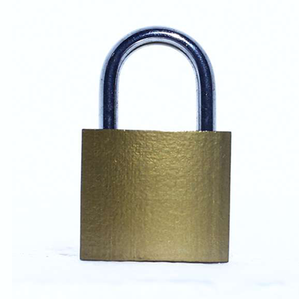 Lock For Bag